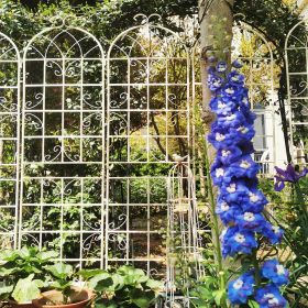 4 Pack Metal Garden Trellis 86.7" x 19.7" Rustproof Trellis for Climbing Plants Outdoor Flower Support (Color: CREAM WHITE)